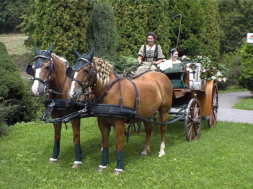 Viktoriakutsche