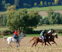 wanderreiten