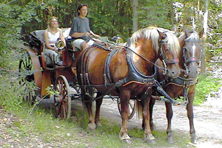 In der Kutsche zum Candlelightdinner