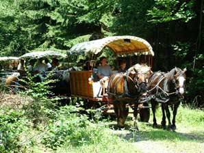 Im Planwagen unterwegs