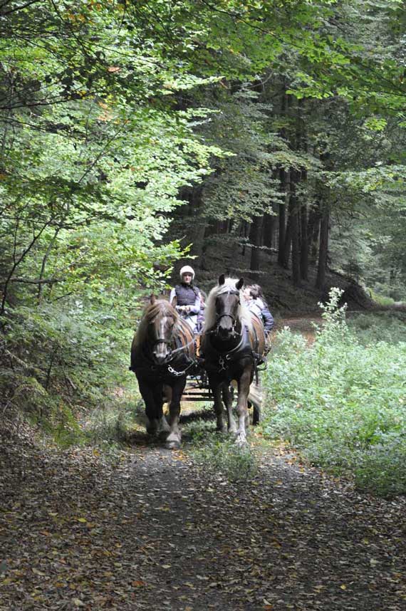 Kutschfahrt mit dem Foerster