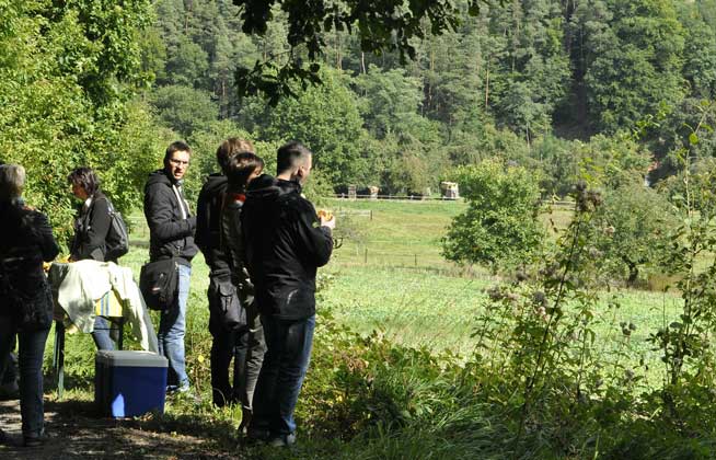 Picknick im Wald