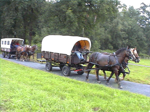 Alle Planwagen im Einsatz