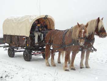 Planwagenfahrt mit Christbaumschlagen