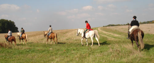 Wanderreiten im Odenwald