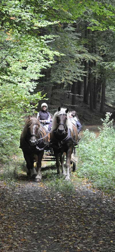 Romantische Kutschfahrt